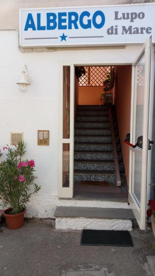 Hotel Lupo Di Mare Marina di Castagneto Carducci Exterior photo